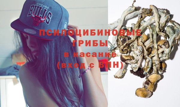 меф Богородицк