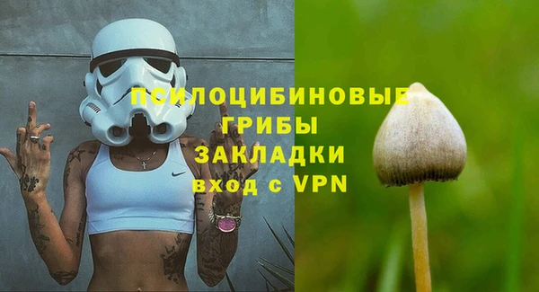 меф Богородицк